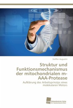 Struktur und Funktionsmechanismus der mitochondrialen m-AAA-Protease - Augustin, Steffen