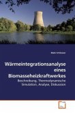 Wärmeintegrationsanalyse eines Biomasseheizkraftwerkes