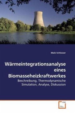 Wärmeintegrationsanalyse eines Biomasseheizkraftwerkes - Schlosser, Maik