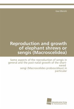 Reproduction and growth of elephant shrews or sengis (Macroscelidea) - Olbricht, Gea