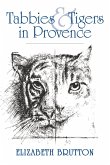 Tabbies and Tigers in Provence