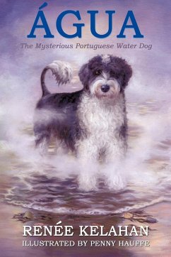 Agua, the Mysterious Portuguese Water Dog