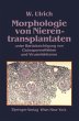 Morphologie von Nierentransplantaten - Bild 1