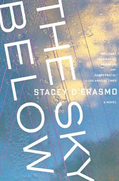 The Sky Below - D'Erasmo, Stacey