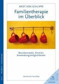 Familientherapie im Überblick