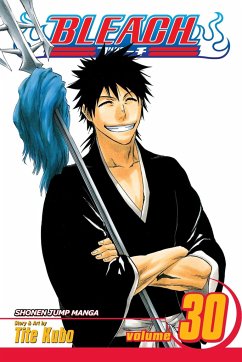 Cover Bleach, Vol. 30