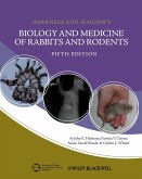 Biology Medicine Rabbits Roden