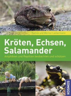 Kröten, Echsen, Salamander - Lantermann, Yvonne;Lantermann, Werner