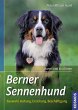 Berner Sennenhund - Bild 1