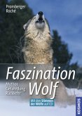 Faszination Wolf, m. Audio-CD