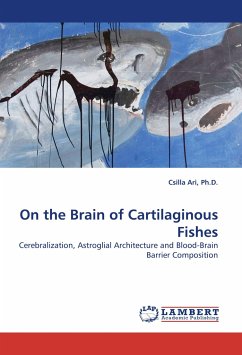 On the Brain of Cartilaginous Fishes