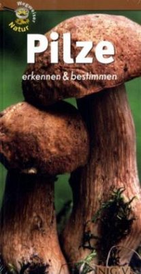 Pilze erkennen & bestimmen