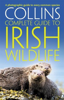 Collins Complete Irish Wildlife - Sterry, Paul