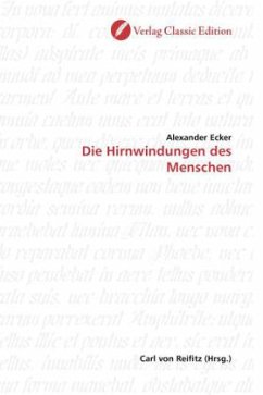 Die Hirnwindungen des Menschen - Ecker, Alexander