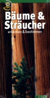 Cover Bäume & Sträucher erkennen & bestimmen