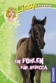 Lissys Freunde - Ein Fohlen für Rebecca