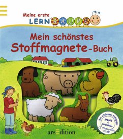 Mein schönstes Stoffmagnete-Buch - Beurenmeister, Corina