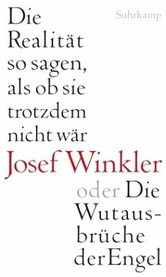 Die Realität so sagen, als ob sie trotzdem nicht wär oder Die Wutausbrüche der Engel - Winkler, Josef
