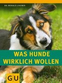 Was Hunde wirklich wollen