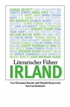 Literarischer Führer Irland - Rasche, Hermann;Raykowski, Harald