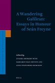 A Wandering Galilean: Essays in Honour of Seán Freyne