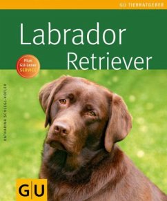 Labrador Retriever - Schlegl-Kofler, Katharina