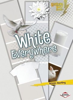 White Everywhere - Sterling, Kristin