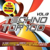 Techno Top 100 Vol. 13