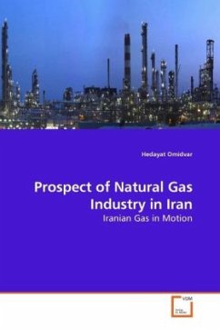 Prospect of Natural Gas Industry in Iran - Omidvar, Hedayat