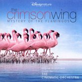 The Crimson Wing - Mystery Of The Flamingos