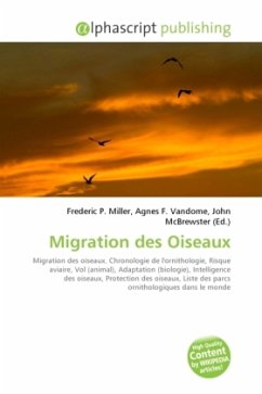 Migration des Oiseaux