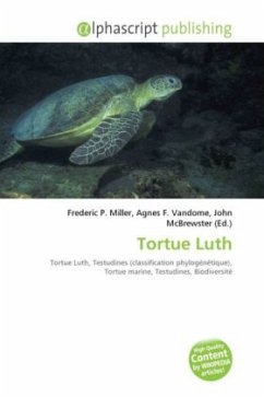 Tortue Luth