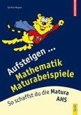 Aufsteigen Mathematik Maturabeispiele