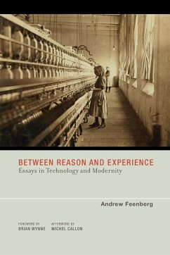 Between Reason and Experience - Feenberg, Andrew