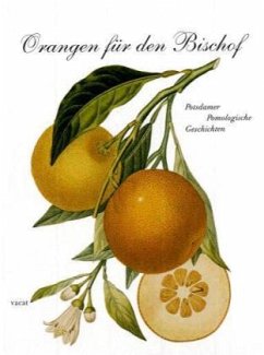 Orangen für den Bischof - Schurig, Gerd;Heilmeyer, Marina;Hamann, Heinrich
