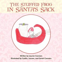 The Stuffed Frog in Santa's Sack