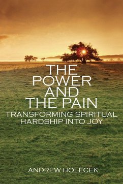 The Power and the Pain: Transforming Spiritual Hardship Into Joy - Holecek, Andrew