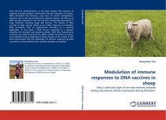 Modulation of immune responses to DNA vaccines in sheep