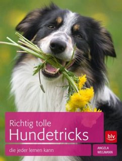 Richtig tolle Hundetricks - Wegmann, Angela