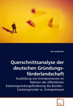 Querschnittsanalyse der deutschen Gründungsförderlandschaft - Laubscher, Jan