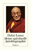 Meine spirituelle Autobiographie