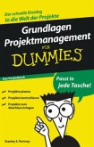 Grundlagen Projektmanagement für Dummies