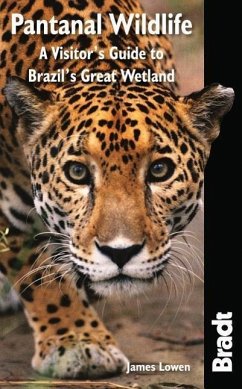 Bradt Pantanal Wildlife: A Visitor's Guide to Brazil's Great Wetland - Lowen, James