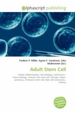 Adult Stem Cell
