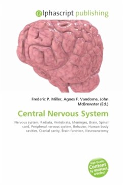 Central Nervous System