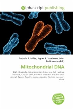 Mitochondrial DNA