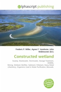 Constructed wetland