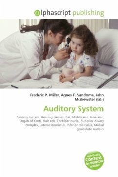 Auditory System