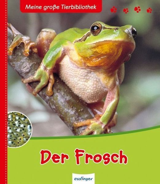 Der Frosch / Meine große Tierbibliothek portofrei bei bücher.de bestellen