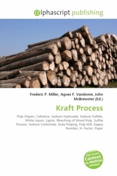 Kraft Process